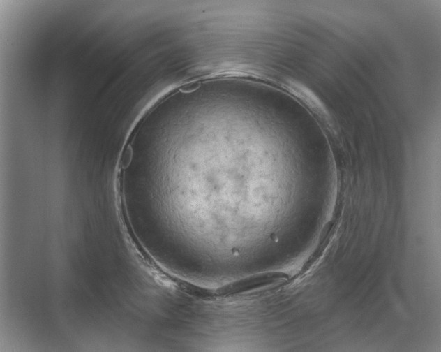 X0000075831190200609151230