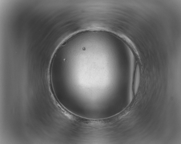 X0000075831191200609151230