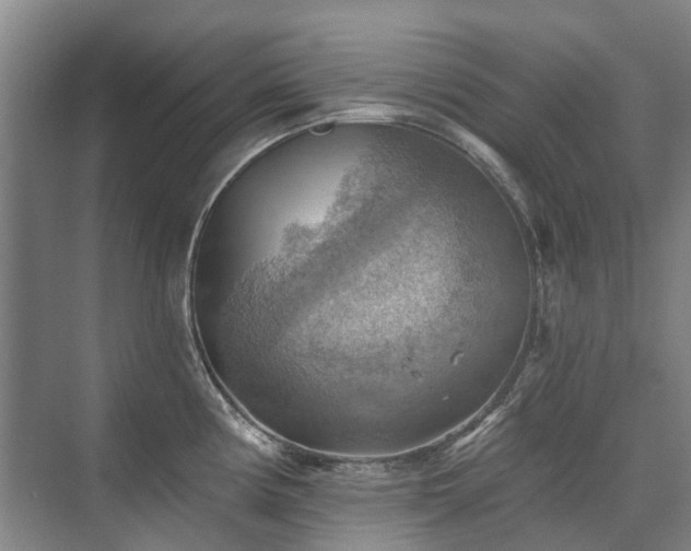 X0000075831194200609151230