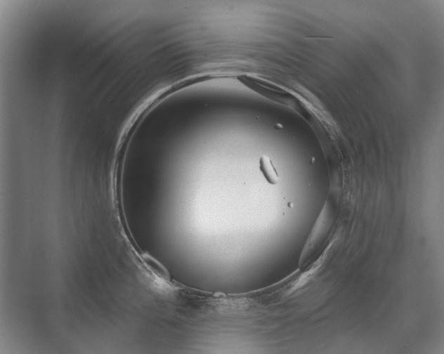 X0000075831196200609151230