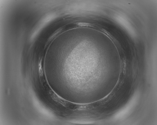 X0000075831198200609151230