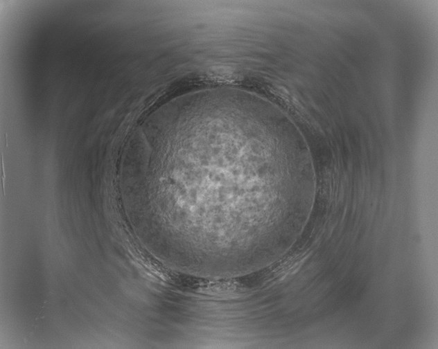 X0000075831201200609151229