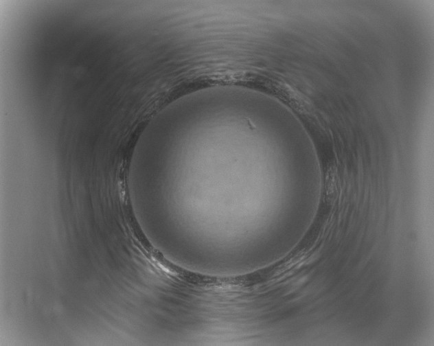 X0000075831202200609151229