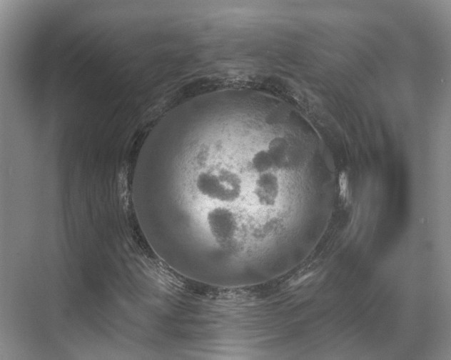 X0000075831203200609151229