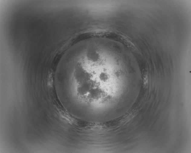 X0000075831204200609151229