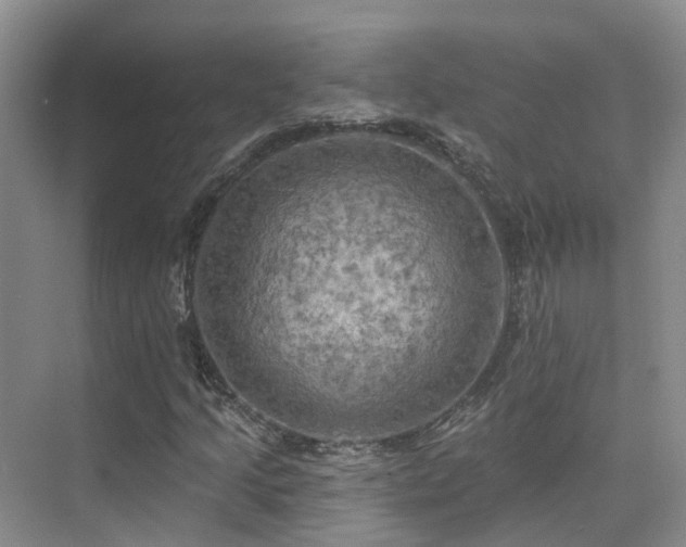 X0000075831205200609151229