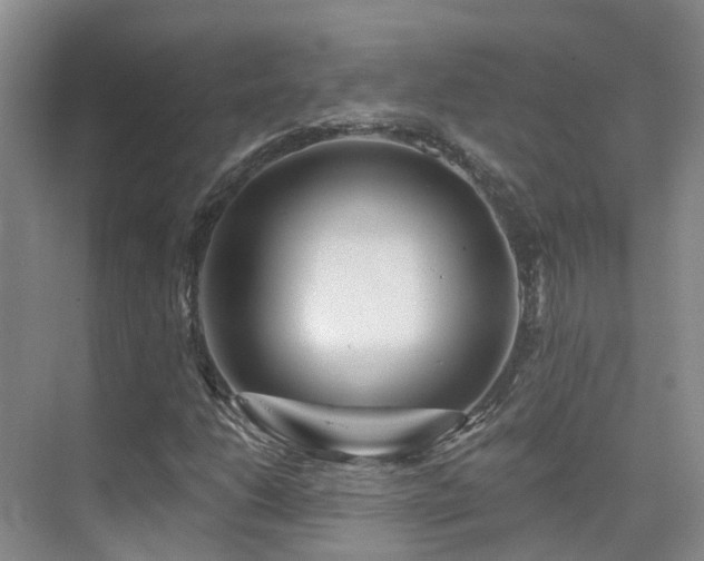 X0000075831206200609151229