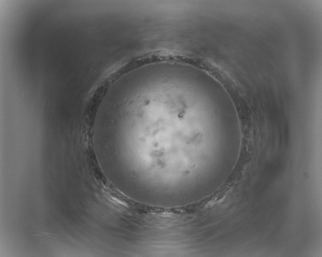 X0000075831207200609151229