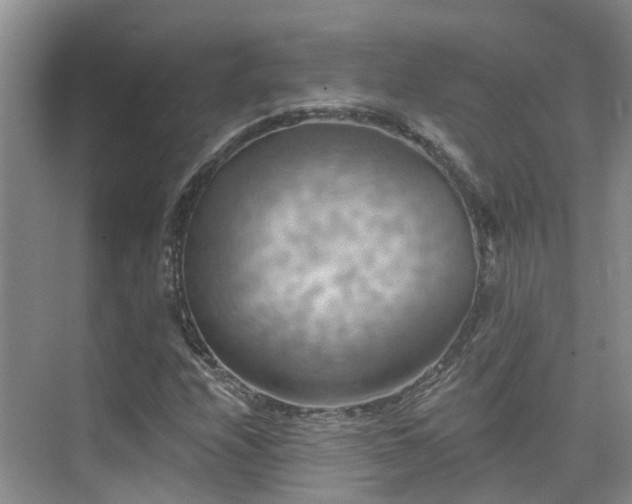 X0000075831208200609151229