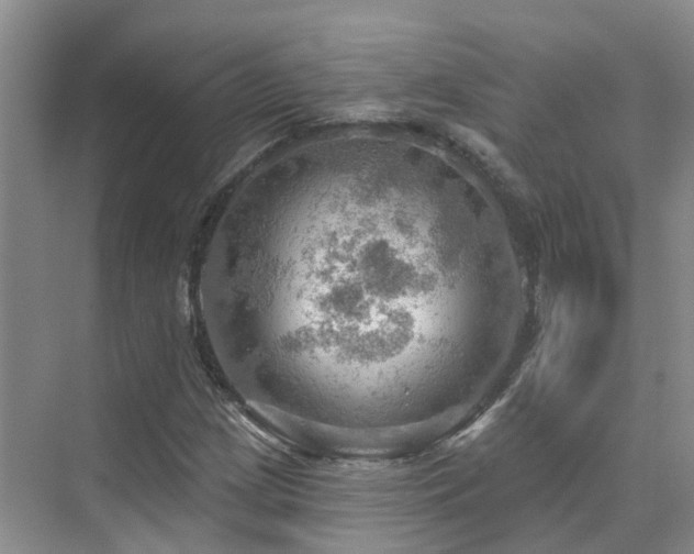 X0000075831209200609151229