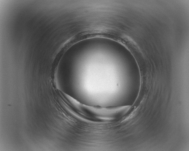 X0000075831210200609151229