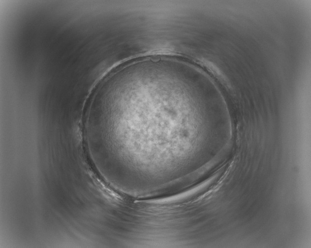 X0000075831212200609151229