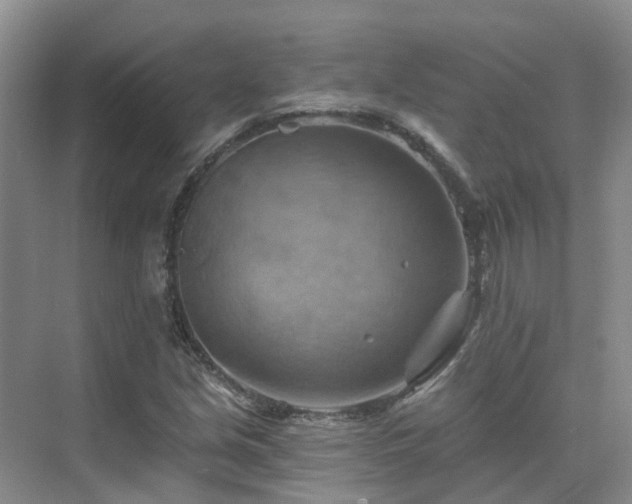 X0000075831213200609151230