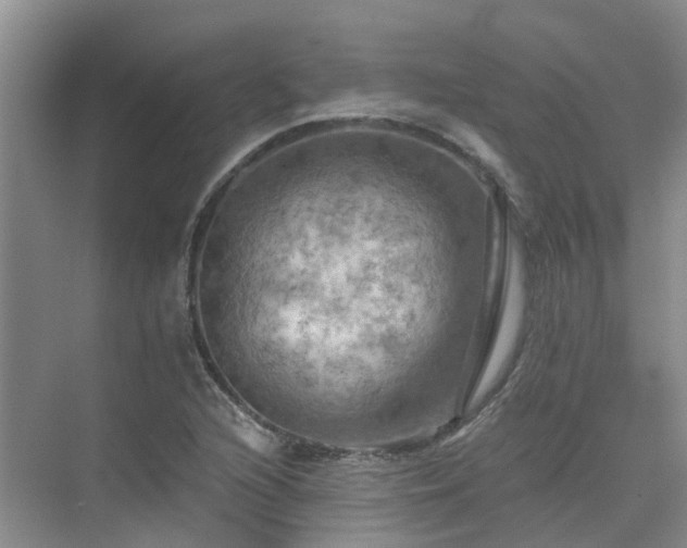 X0000075831216200609151230