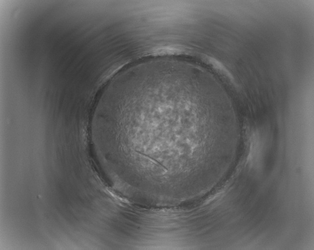 X0000075831217200609151230