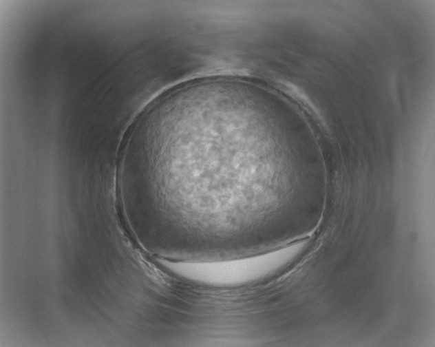 X0000075831220200609151230