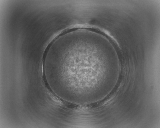 X0000075831221200609151230