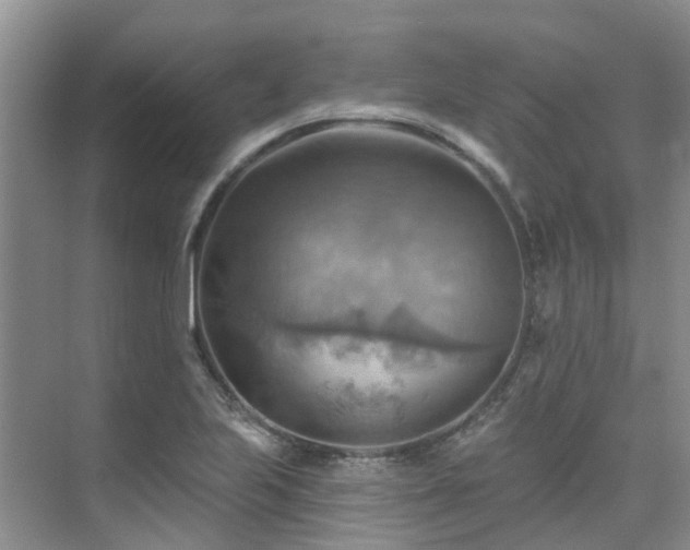 X0000075831223200609151230