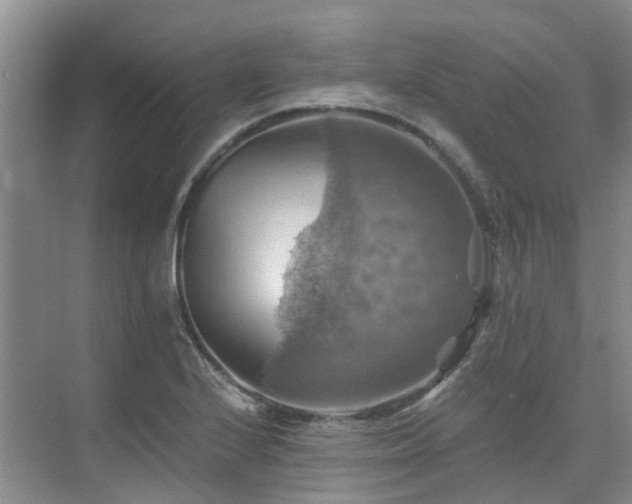 X0000075831224200609151230