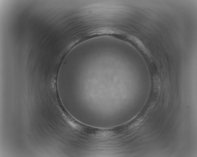 X0000075831225200609151230