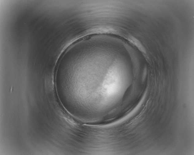 X0000075831226200609151230