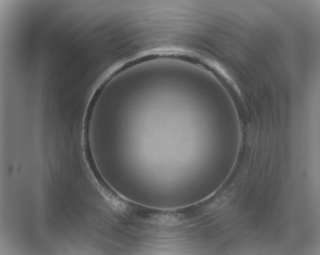 X0000075831229200609151230