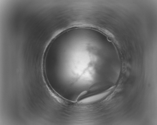 X0000075831231200609151230