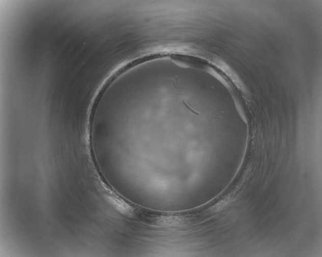 X0000075831232200609151230