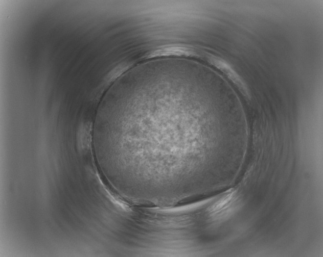 X0000075831233200609151230