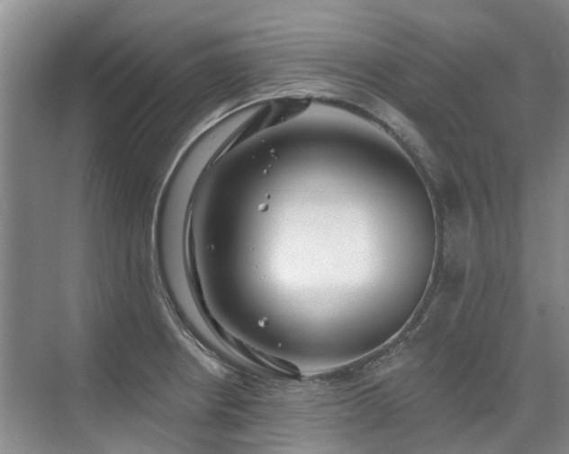 X0000075831234200609151230