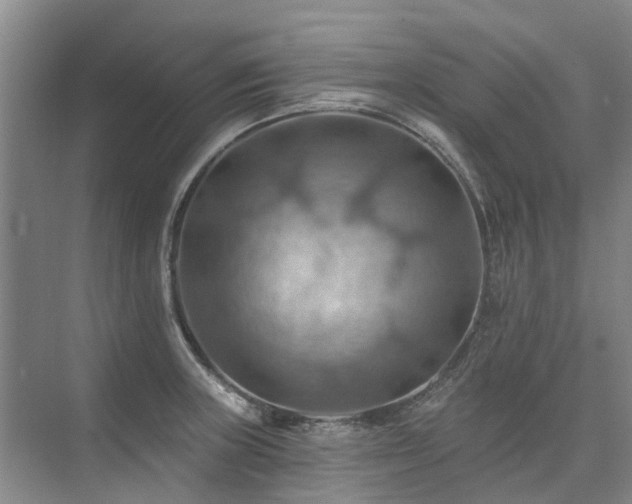 X0000075831235200609151230