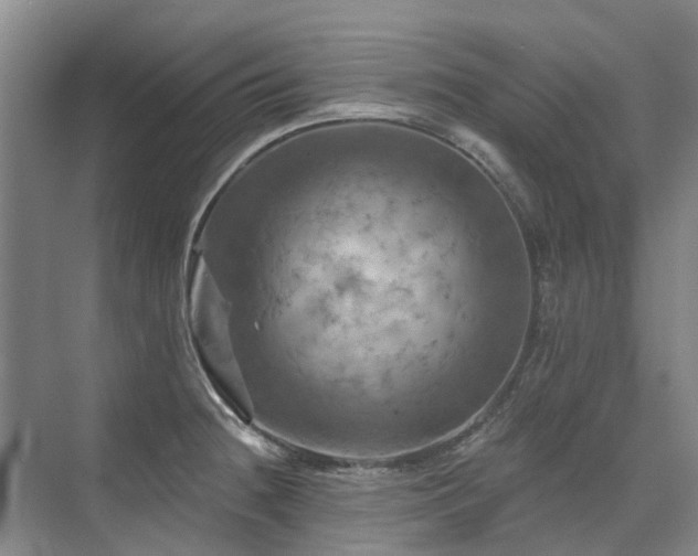 X0000075831236200609151230