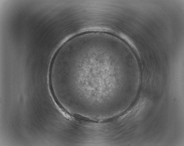 X0000075831237200609151230