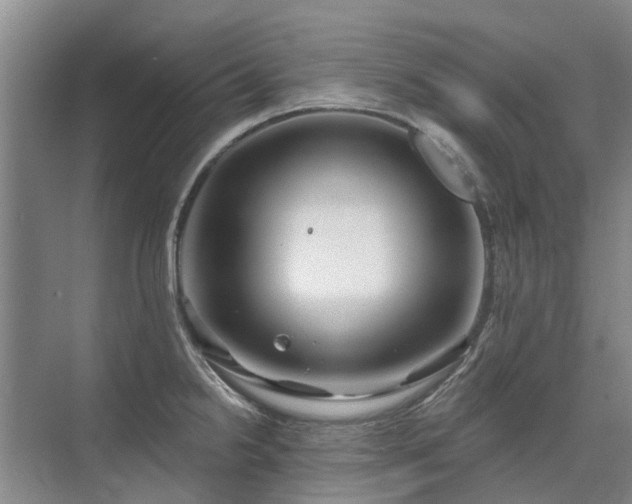 X0000075831238200609151230