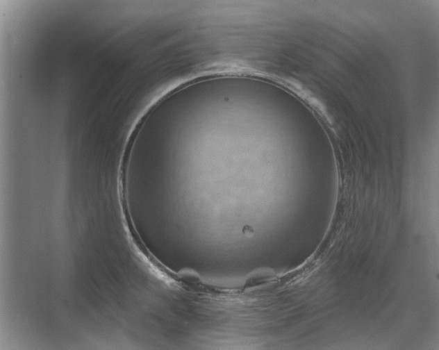 X0000075831239200609151230