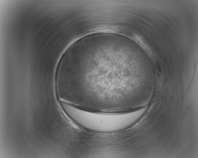 X0000075831240200609151230