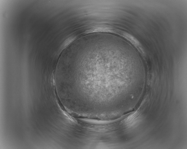 X0000075831241200609151230