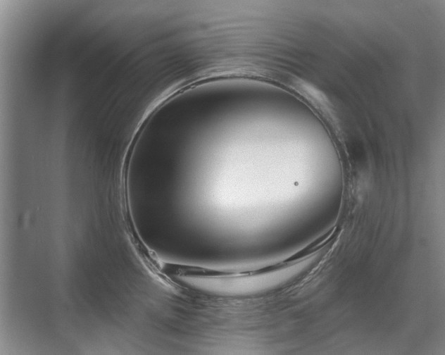 X0000075831242200609151230