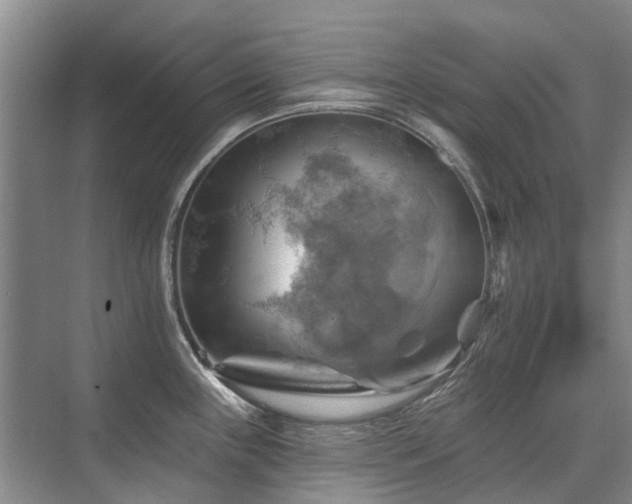 X0000075831243200609151230