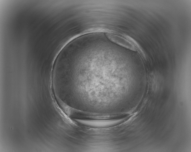 X0000075831244200609151230