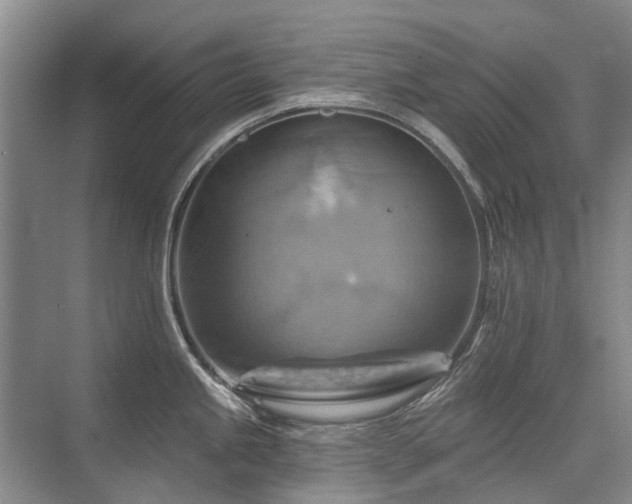 X0000075831245200609151230