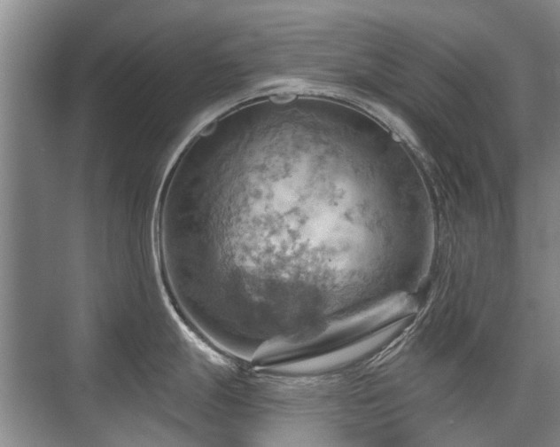 X0000075831247200609151230