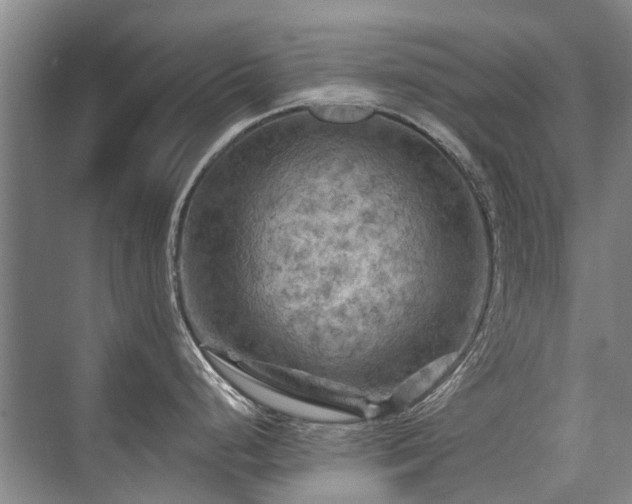 X0000075831248200609151230