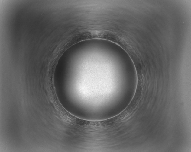 X0000075831249200609151229