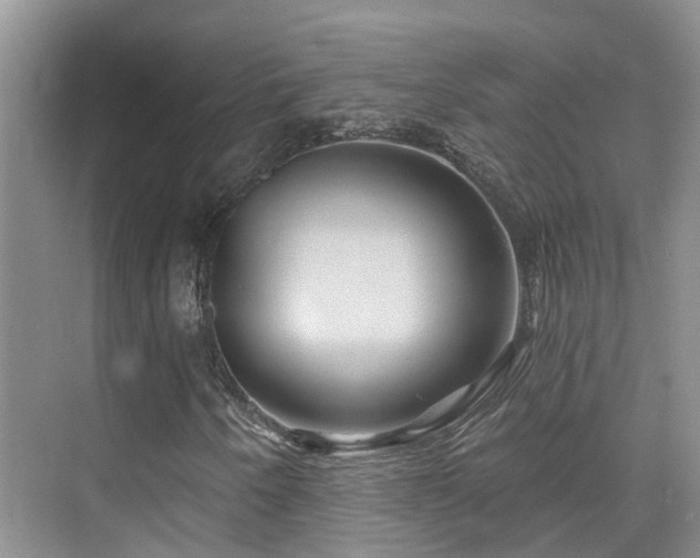 X0000075831250200609151229