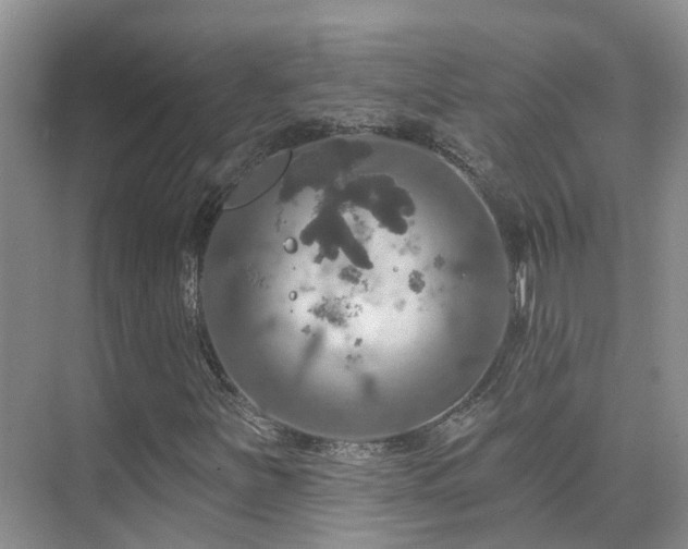 X0000075831251200609151229