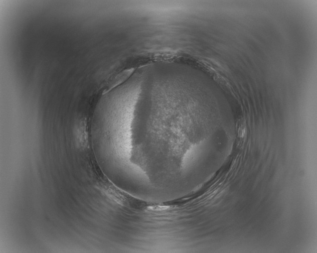 X0000075831252200609151229