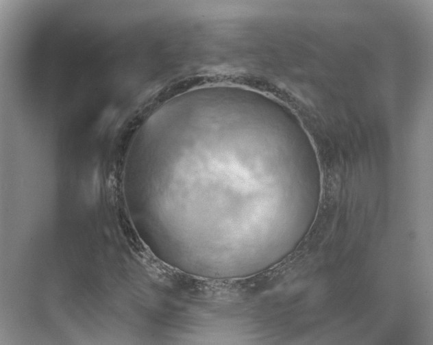 X0000075831254200609151229