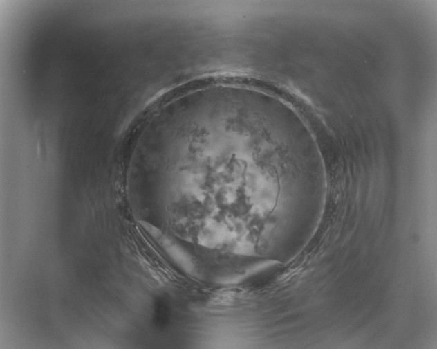 X0000075831255200609151229