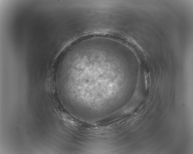 X0000075831256200609151229